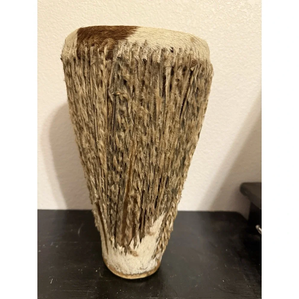 N/A african bongo